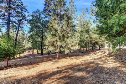 11722 Logans Run Court, Grass Valley, CA 95945 - Photo 84