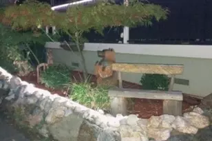 Gladycon Rd, Colfax, CA 95713 - Photo 28