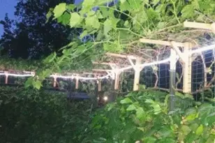 Gladycon Rd, Colfax, CA 95713 - Photo 26