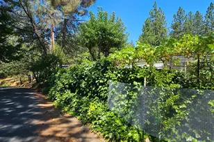 Gladycon Rd, Colfax, CA 95713 - Photo 20