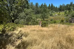 3620 Graybar Mine Rd, Garden Valley, CA 95633 - Photo 2