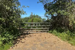 3620 Graybar Mine Rd, Garden Valley, CA 95633 - Photo 22