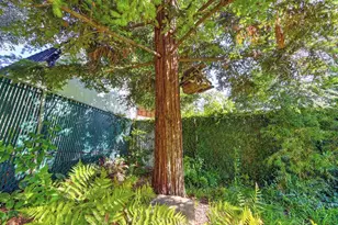 274 Huntley Ave, Auburn, CA 95603 - Photo 72