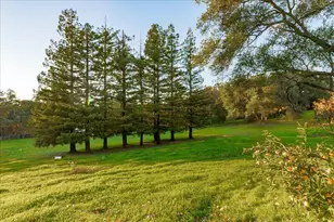 8501 King Rd, Loomis, CA 95650 - Photo 50