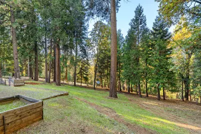 5819 Lynx Trail, Pollock Pines, CA 95726 - Photo 24
