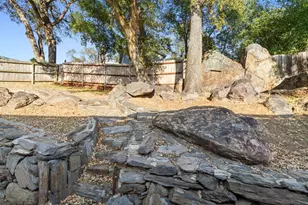 597 Amador Ave, Angels Camp, CA 95222 - Photo 50