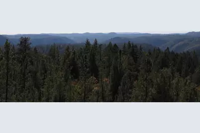 31180 Knob Cone Road, Gold Run, CA 95717 - Photo 36