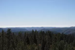 31180 Knob Cone Rd, Gold Run, CA 95717 - Photo 36