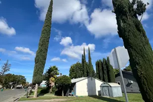 2982 3rd St, Biggs, CA 95917 - Photo 4