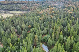 12638 Evergreen Ct, Nevada City, CA 95959 - Photo 42