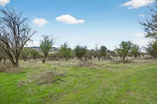 11600 State Hwy 16, Brooks, CA 95606 - Photo 68