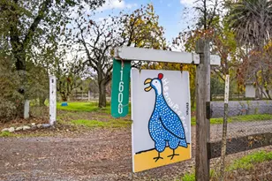 11600 State Hwy 16, Brooks, CA 95606 - Photo 1