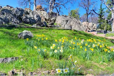 7361 Crystal Boulevard, El Dorado, CA 95623 - Photo 38