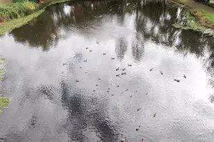 Cold Springs, Placerville, CA 95667 - Photo 20