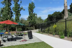 535 Pierce St, Albany, CA 94706 - Photo 34