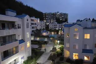 535 Pierce St, Albany, CA 94706 - Photo 14