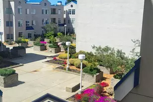 535 Pierce St, Albany, CA 94706 - Photo 20