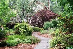 26070 Green Acres Rd, Colfax, CA 95713 - Photo 36