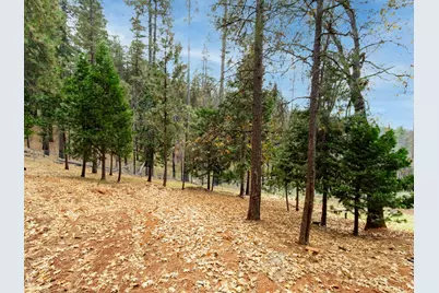 5194 Woodhaven Drive, Grizzly Flats, CA 95636 - Photo 18
