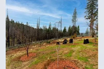 5194 Woodhaven Drive, Grizzly Flats, CA 95636 - Photo 30