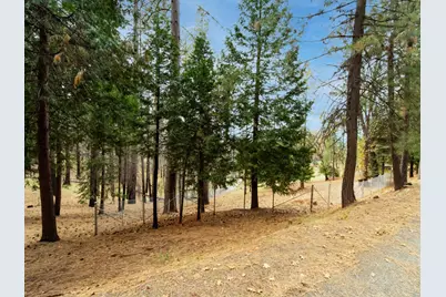 5194 Woodhaven Drive, Grizzly Flats, CA 95636 - Photo 14