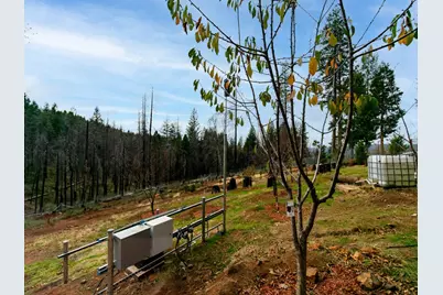 5194 Woodhaven Drive, Grizzly Flats, CA 95636 - Photo 24