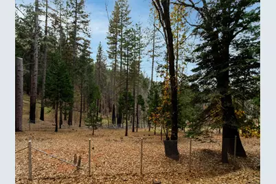 5194 Woodhaven Drive, Grizzly Flats, CA 95636 - Photo 10