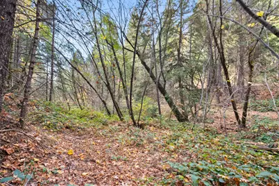 0 Starkes Grade Road, Pollock Pines, CA 95726 - Photo 20