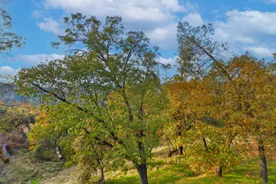 5295 Rooster Lane, Somerset, CA 95684 - Photo 10