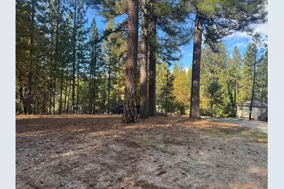 6364 Green Leaf Lane, Foresthill, CA 95631 - Photo 2