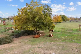 12540 Arabian Ln, Galt, CA 95632 - Photo 14