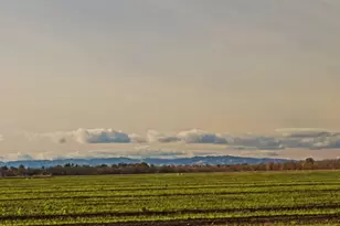 2900 Pole Line Rd, Davis, CA 95618 - Photo 36