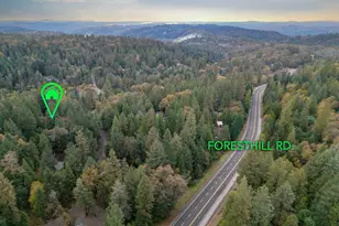 5043 Virginia Bird Mine Ct, Foresthill, CA 95631 - Photo 66