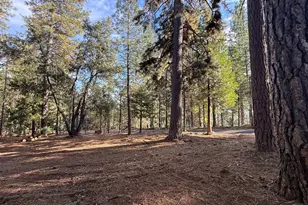 19045 Pine Dr, Pioneer, CA 95666 - Photo 1