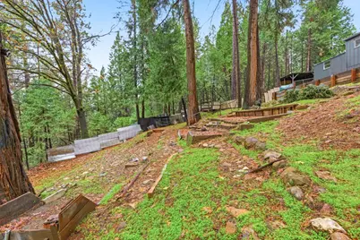 19159 Allan Road, Volcano, CA 95689 - Photo 26