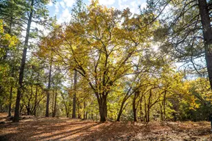 14990 Willow Glen Rd, Brownsville, CA 95919 - Photo 30