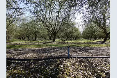 1119 N Verduga Road, Turlock, CA 95380 - Photo 44