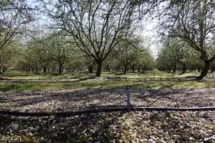 1119 N Verduga Rd, Turlock, CA 95380 - Photo 44