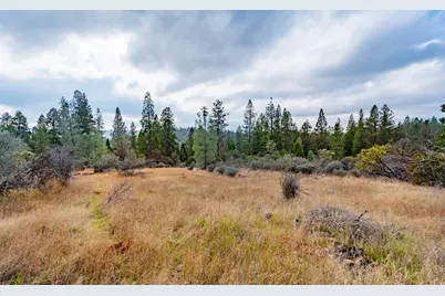 12137 Newtown Road, Nevada City, CA 95959 - Photo 2