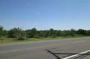 23873 State Hwy 120, Escalon, CA 95320 - Photo 12