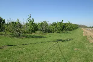 23873 State Hwy 120, Escalon, CA 95320 - Photo 8