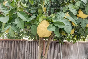 10009 Copco Ln, Stockton, CA 95219 - Photo 40