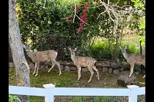 5593 Baldwin St, Valley Springs, CA 95252 - Photo 50