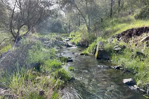 4600 Summer Creek Ct, Shingle Springs, CA 95682 - Photo 1