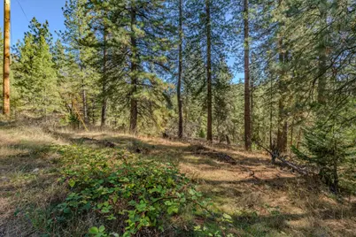 27190 Hill Road, Pioneer, CA 95666 - Photo 10