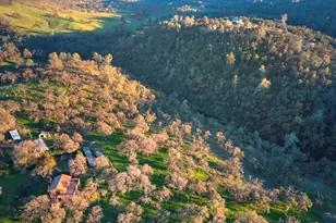 4053 Wilson Town Rd, Lincoln, CA 95648 - Photo 80