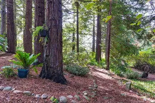 1598 Jade Ln, Penryn, CA 95663 - Photo 66