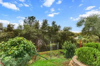 1540 Barrett Drive, Placerville, CA 95667 - Photo 74