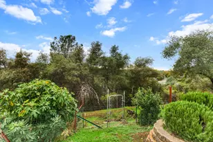 1540 Barrett Dr, Placerville, CA 95667 - Photo 74