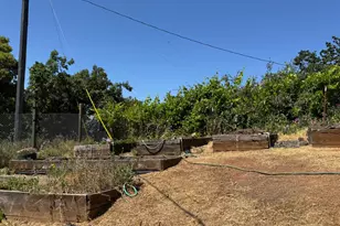 14764 Tanyard Hill Rd, Pine Grove, CA 95665 - Photo 52